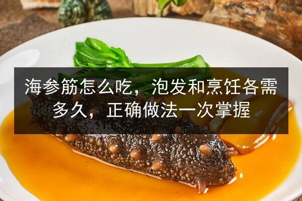 海参筋怎么吃,泡发和烹饪各需多久,正确做法一次掌握