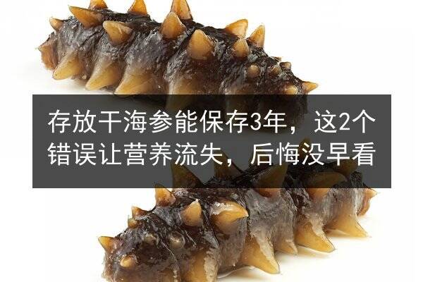 存放干海参能保存3年，这2个错误让营养流失，后悔没早看