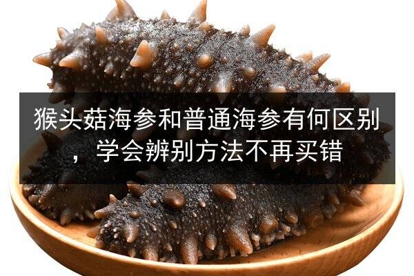 猴头菇海参和普通海参有何区别，学会辨别方法不再买错