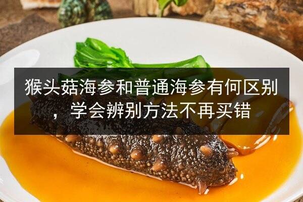 猴头菇海参和普通海参有何区别，学会辨别方法不再买错