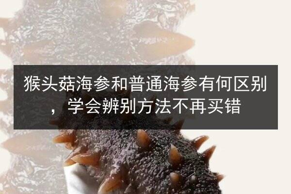 猴头菇海参和普通海参有何区别，学会辨别方法不再买错
