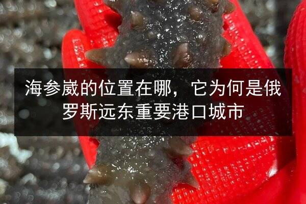 海参崴的位置在哪,它为何是俄罗斯远东重要港口城市