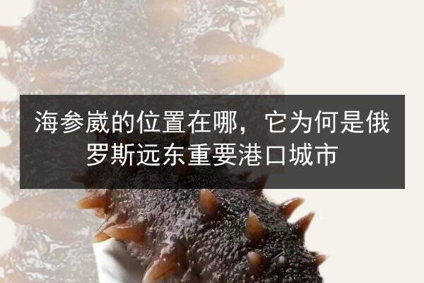 海参崴的位置在哪,它为何是俄罗斯远东重要港口城市