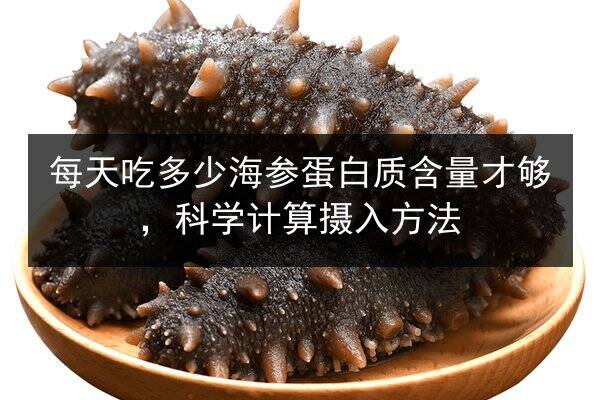 每天吃多少海参蛋白质含量才够,科学计算摄入方法
