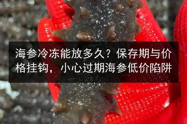 海参冷冻能放多久?保存期与价格挂钩,小心过期海参低价陷阱