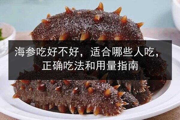 海参吃好不好,适合哪些人吃,正确吃法和用量指南