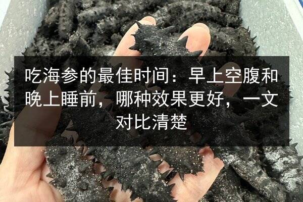 吃海参的最佳时间:早上空腹和晚上睡前,哪种效果更好,一文对比清楚