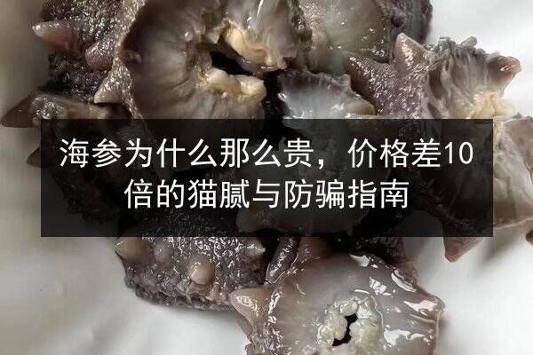 海参为什么那么贵,价格差10倍的猫腻与防骗指南