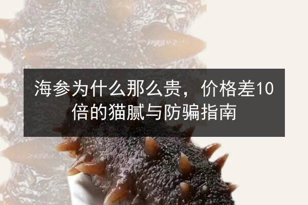 海参为什么那么贵,价格差10倍的猫腻与防骗指南