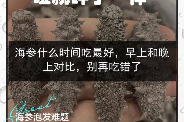 海参什么时间吃最好,早上和晚上对比,别再吃错了