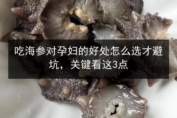 吃海参对孕妇的好处怎么选才避坑,关键看这3点