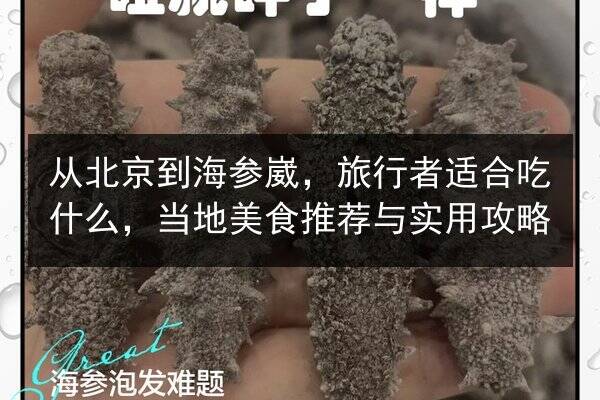 从北京到海参崴,旅行者适合吃什么,当地美食推荐与实用攻略