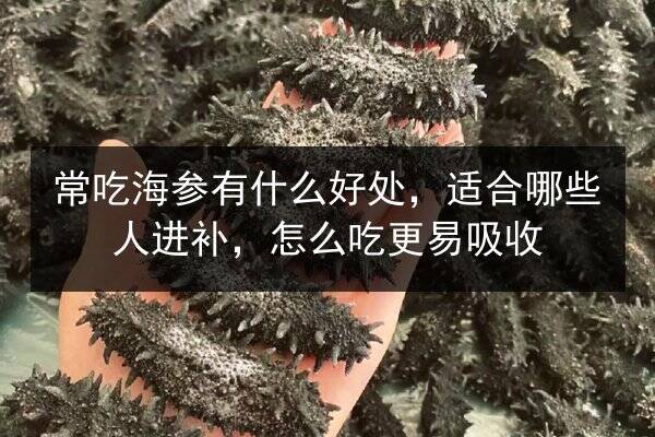 常吃海参有什么好处，适合哪些人进补，怎么吃更易吸收