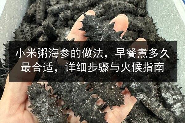 小米粥海参的做法,早餐煮多久最合适,详细步骤与火候指南