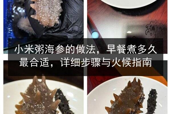 小米粥海参的做法,早餐煮多久最合适,详细步骤与火候指南