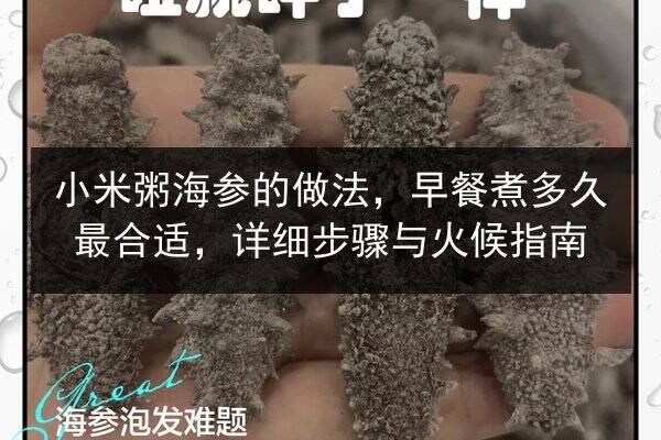 小米粥海参的做法,早餐煮多久最合适,详细步骤与火候指南