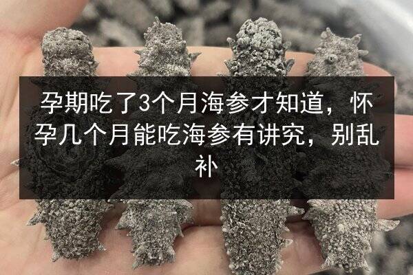 孕期吃了3个月海参才知道,怀孕几个月能吃海参有讲究,别乱补