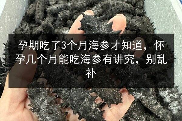 孕期吃了3个月海参才知道,怀孕几个月能吃海参有讲究,别乱补