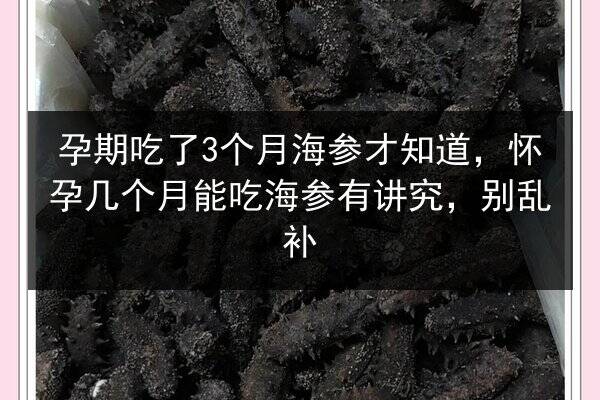 孕期吃了3个月海参才知道,怀孕几个月能吃海参有讲究,别乱补