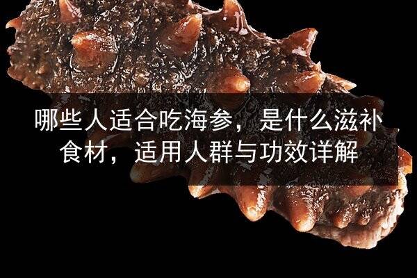哪些人适合吃海参,是什么滋补食材,适用人群与功效详解