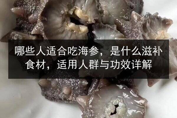 哪些人适合吃海参,是什么滋补食材,适用人群与功效详解