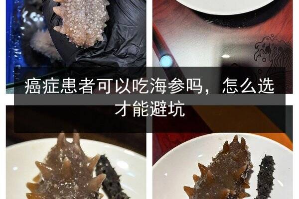 癌症患者可以吃海参吗，怎么选才能避坑