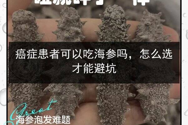 癌症患者可以吃海参吗，怎么选才能避坑
