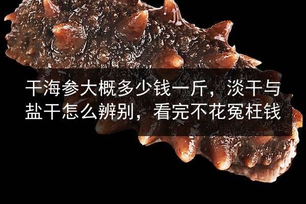 干海参大概多少钱一斤,淡干与盐干怎么辨别,看完不花冤枉钱