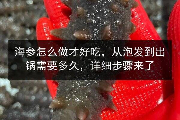 海参怎么做才好吃，从泡发到出锅需要多久，详细步骤来了