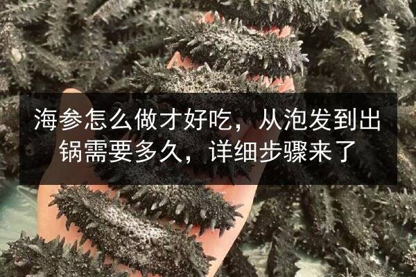 海参怎么做才好吃，从泡发到出锅需要多久，详细步骤来了
