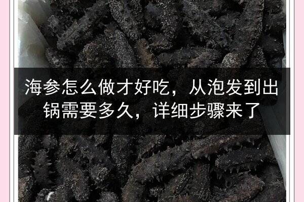 海参怎么做才好吃，从泡发到出锅需要多久，详细步骤来了