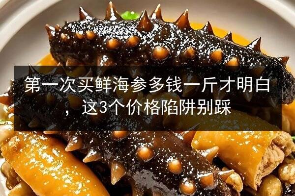 第一次买鲜海参多钱一斤才明白,这3个价格陷阱别踩