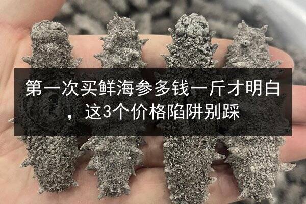 第一次买鲜海参多钱一斤才明白,这3个价格陷阱别踩