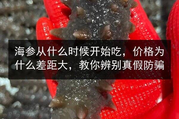 海参从什么时候开始吃,价格为什么差距大,教你辨别真假防骗