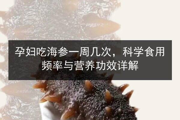 孕妇吃海参一周几次,科学食用频率与营养功效详解