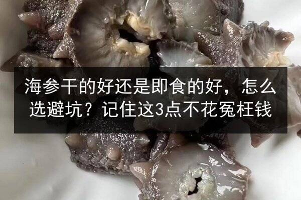海参干的好还是即食的好,怎么选避坑?记住这3点不花冤枉钱
