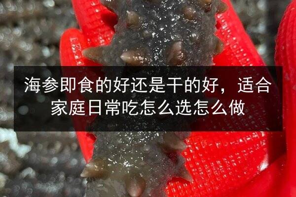 海参即食的好还是干的好,适合家庭日常吃怎么选怎么做