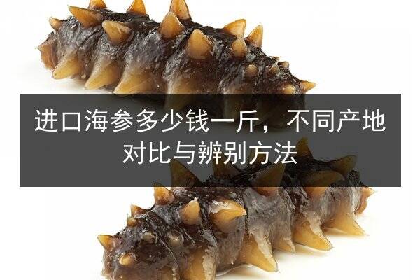 进口海参多少钱一斤,不同产地对比与辨别方法