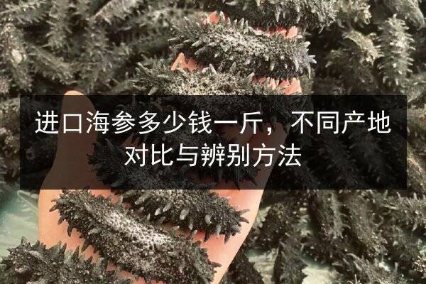 进口海参多少钱一斤,不同产地对比与辨别方法