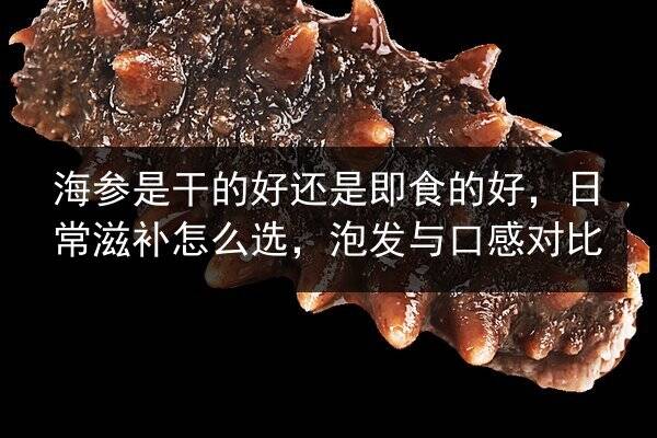 海参是干的好还是即食的好，日常滋补怎么选，泡发与口感对比
