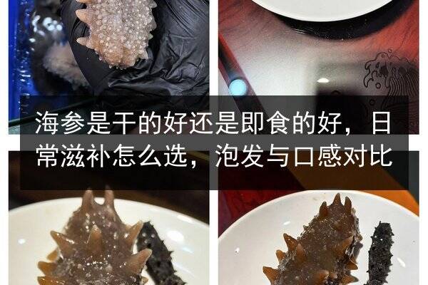 海参是干的好还是即食的好，日常滋补怎么选，泡发与口感对比