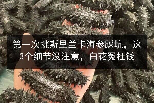 第一次挑斯里兰卡海参踩坑，这3个细节没注意，白花冤枉钱