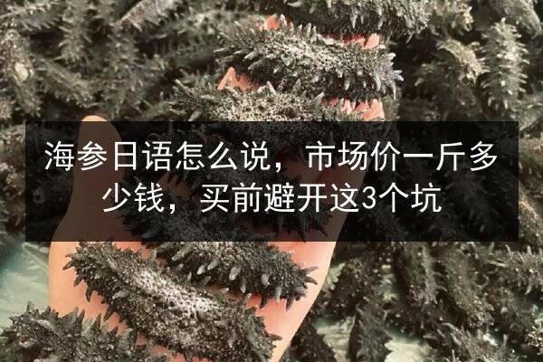 海参日语怎么说，市场价一斤多少钱，买前避开这3个坑