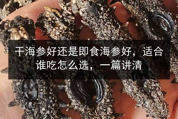 干海参好还是即食海参好,适合谁吃怎么选,一篇讲清