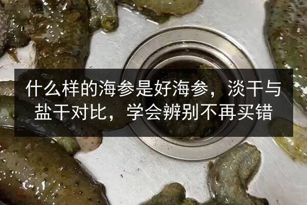 什么样的海参是好海参,淡干与盐干对比,学会辨别不再买错