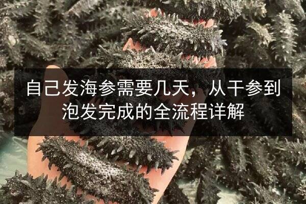 自己发海参需要几天,从干参到泡发完成的全流程详解