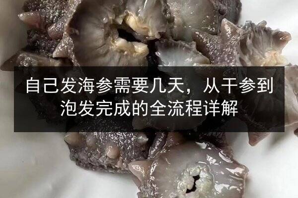 自己发海参需要几天,从干参到泡发完成的全流程详解
