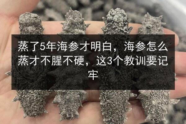 蒸了5年海参才明白，海参怎么蒸才不腥不硬，这3个教训要记牢