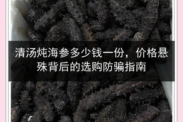 清汤炖海参多少钱一份,价格悬殊背后的选购防骗指南