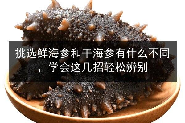 挑选鲜海参和干海参有什么不同,学会这几招轻松辨别